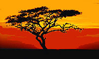 Africantree.jpg