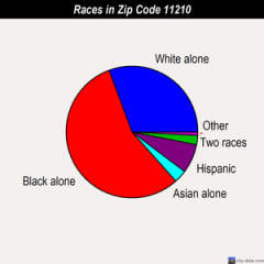 File:Race in 11210.png