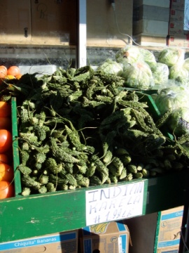 A specialized vegetable called a "karela" sold in Jackson Heights
