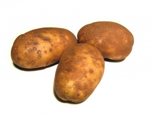 File:Potatoes.JPG