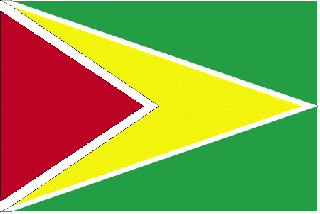 File:Guyanese flag.gif