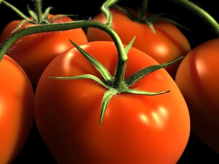 File:Tomatoes.JPG