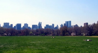 File:Great Lawn, Central Park.jpg