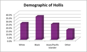 Image:Demographic of hollis.jpg
