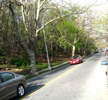 Park Lane South - A cool drive along Forest Park in Woodhaven.