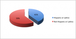 Ethnic and Racial Classification According to Hispanic/non-Hispanic status