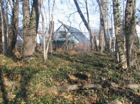 The Brinckerhoff Cemetery prior to cleanup efforts. 