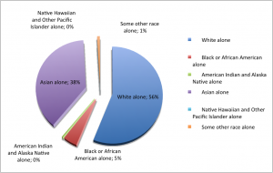 Ethnic and Racial Classification of non-Hispanic residents according to single-race categories