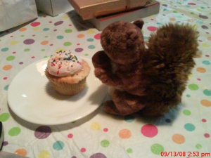 Nutsy and Cupcake