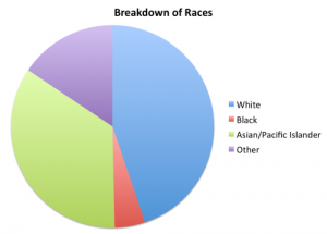 Breakdown of Race in Maspeth