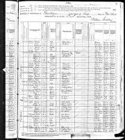 Jeremiah Gilligan’s 1880 Census Data