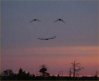 SMILE-it makes the world a better place! Photo found on google images.